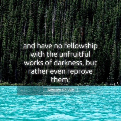 Picture 05 - Ephesians 5:11 ASV - and have no fellowship with the unfruitful works - Bible Verse Picture