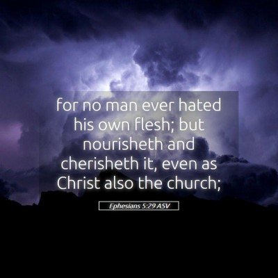 Picture 05 - Ephesians 5:29 ASV - for no man ever hated his own flesh; but - Bible Verse Picture