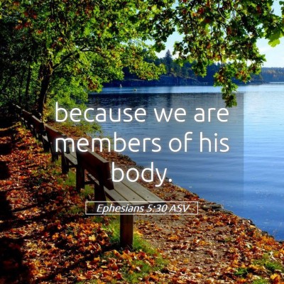 Picture 05 - Ephesians 5:30 ASV - because we are members of his - Bible Verse Picture