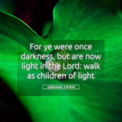 Picture 05 - Ephesians 5:8 ASV - For ye were once darkness, but are now light in - Bible Verse Picture