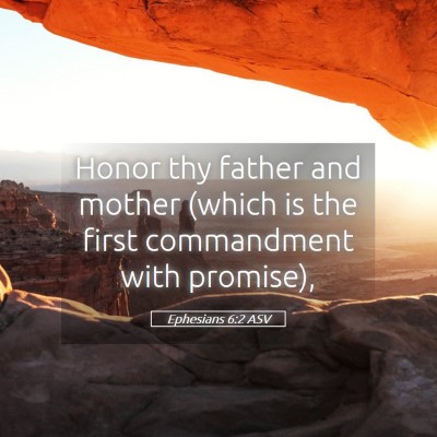 Picture 05 - Ephesians 6:2 ASV - Honor thy father and mother (which is the first - Bible Verse Picture