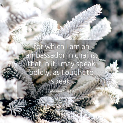 Picture 05 - Ephesians 6:20 ASV - for which I am an ambassador in chains; that in - Bible Verse Picture