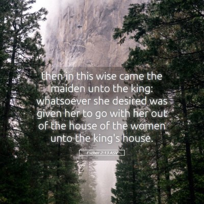 Picture 05 - Esther 2:13 ASV - then in this wise came the maiden unto the king: - Bible Verse Picture