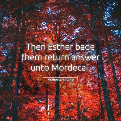 Picture 05 - Esther 4:15 ASV - Then Esther bade them return answer unto - Bible Verse Picture