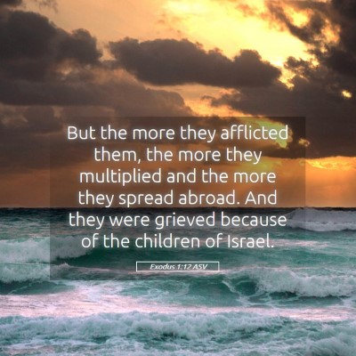 Picture 05 - Exodus 1:12 ASV - But the more they afflicted them, the more they - Bible Verse Picture