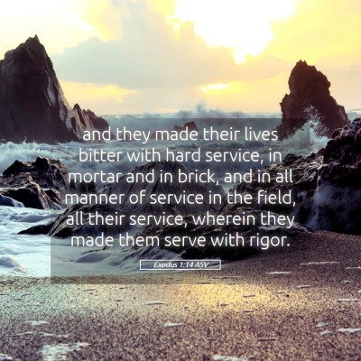 Picture 05 - Exodus 1:14 ASV - and they made their lives bitter with hard - Bible Verse Picture