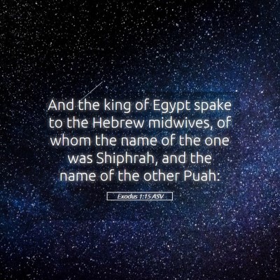 Picture 05 - Exodus 1:15 ASV - And the king of Egypt spake to the Hebrew - Bible Verse Picture
