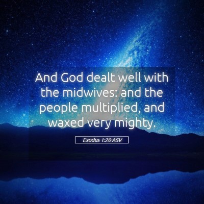 Picture 05 - Exodus 1:20 ASV - And God dealt well with the midwives: and the - Bible Verse Picture