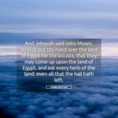 Picture 05 - Exodus 10:12 ASV - And Jehovah said unto Moses, Stretch out thy hand - Bible Verse Picture