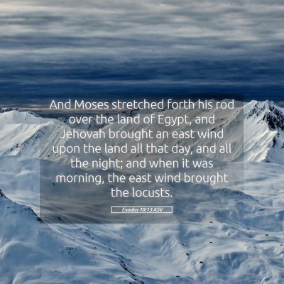 Picture 05 - Exodus 10:13 ASV - And Moses stretched forth his rod over the land - Bible Verse Picture