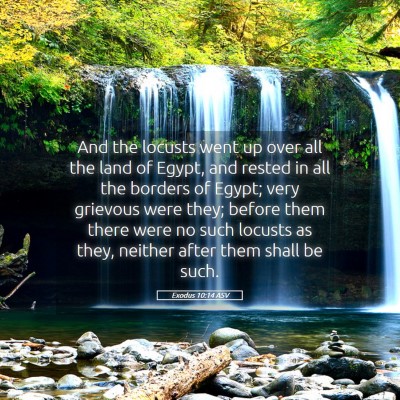 Picture 05 - Exodus 10:14 ASV - And the locusts went up over all the land of - Bible Verse Picture