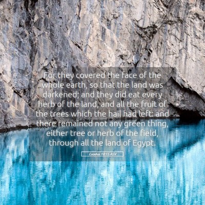Picture 05 - Exodus 10:15 ASV - For they covered the face of the whole earth, so - Bible Verse Picture
