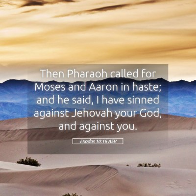 Picture 05 - Exodus 10:16 ASV - Then Pharaoh called for Moses and Aaron in haste; - Bible Verse Picture