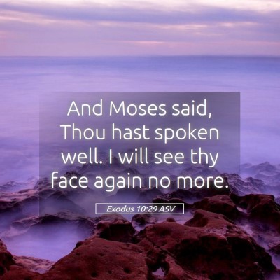 Picture 05 - Exodus 10:29 ASV - And Moses said, Thou hast spoken well. I will see - Bible Verse Picture