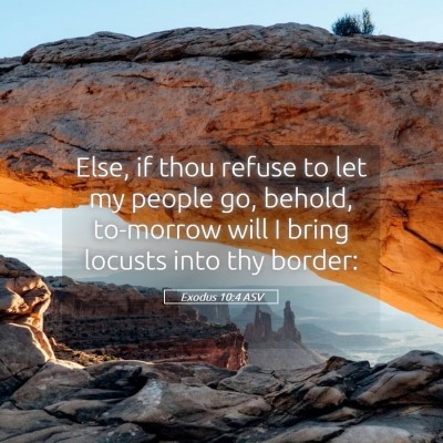 Picture 05 - Exodus 10:4 ASV - Else, if thou refuse to let my people go, behold, - Bible Verse Picture
