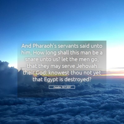 Picture 05 - Exodus 10:7 ASV - And Pharaoh's servants said unto him, How long - Bible Verse Picture