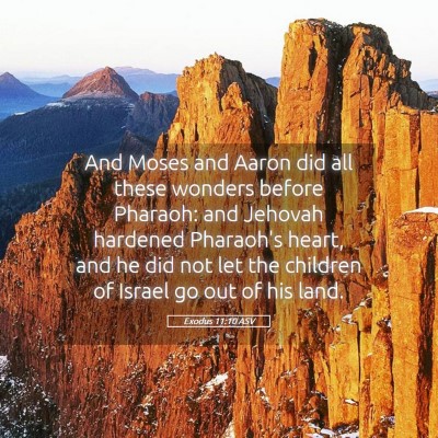 Picture 05 - Exodus 11:10 ASV - And Moses and Aaron did all these wonders before - Bible Verse Picture