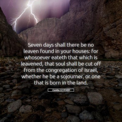Picture 05 - Exodus 12:19 ASV - Seven days shall there be no leaven found in your - Bible Verse Picture