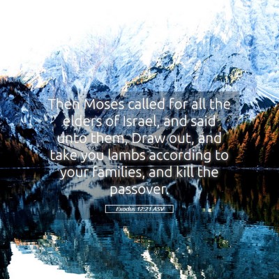 Picture 05 - Exodus 12:21 ASV - Then Moses called for all the elders of Israel, - Bible Verse Picture