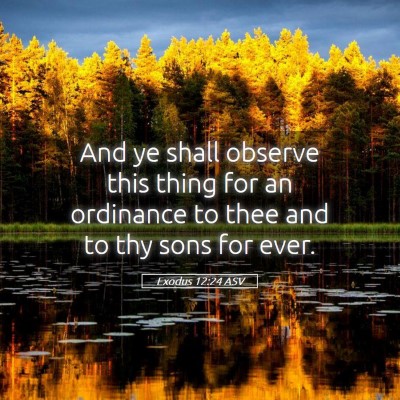 Picture 05 - Exodus 12:24 ASV - And ye shall observe this thing for an ordinance - Bible Verse Picture