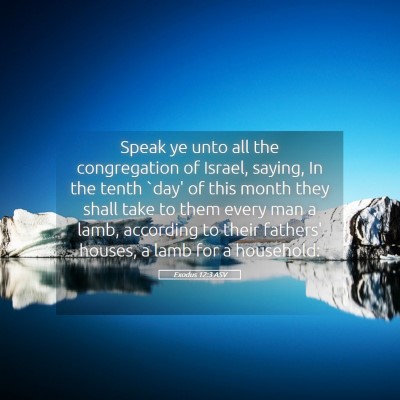 Picture 05 - Exodus 12:3 ASV - Speak ye unto all the congregation of Israel, - Bible Verse Picture