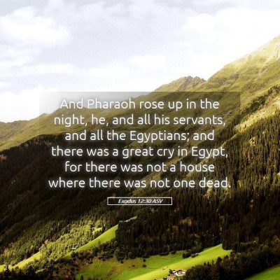 Picture 05 - Exodus 12:30 ASV - And Pharaoh rose up in the night, he, and all his - Bible Verse Picture