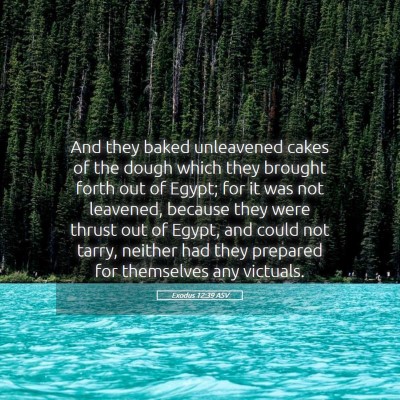 Picture 05 - Exodus 12:39 ASV - And they baked unleavened cakes of the dough - Bible Verse Picture