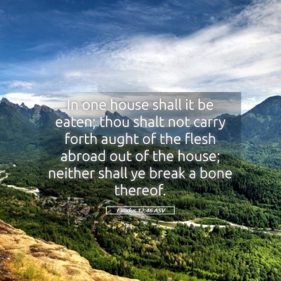 Picture 05 - Exodus 12:46 ASV - In one house shall it be eaten; thou shalt not - Bible Verse Picture