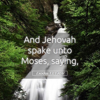 Picture 05 - Exodus 13:1 ASV - And Jehovah spake unto Moses, - Bible Verse Picture