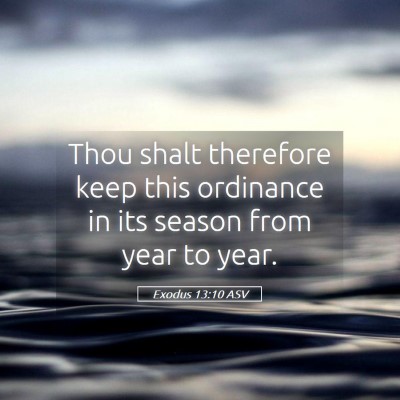 Picture 05 - Exodus 13:10 ASV - Thou shalt therefore keep this ordinance in its - Bible Verse Picture