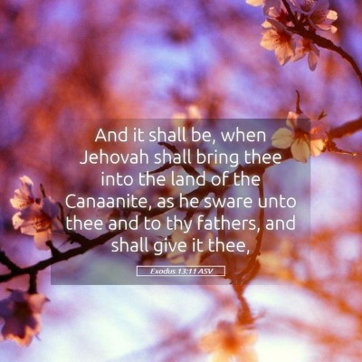 Picture 05 - Exodus 13:11 ASV - And it shall be, when Jehovah shall bring thee - Bible Verse Picture