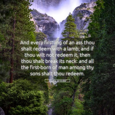 Picture 05 - Exodus 13:13 ASV - And every firstling of an ass thou shalt redeem - Bible Verse Picture