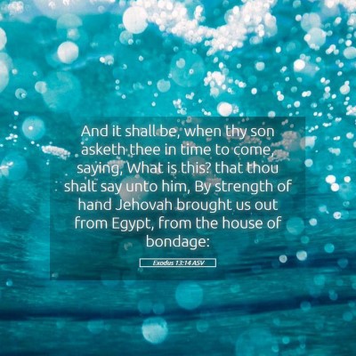 Picture 05 - Exodus 13:14 ASV - And it shall be, when thy son asketh thee in time - Bible Verse Picture