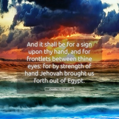 Picture 05 - Exodus 13:16 ASV - And it shall be for a sign upon thy hand, and for - Bible Verse Picture