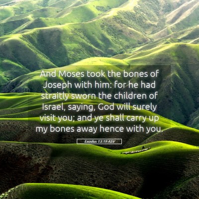 Picture 05 - Exodus 13:19 ASV - And Moses took the bones of Joseph with him: for - Bible Verse Picture