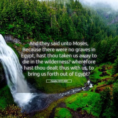 Picture 05 - Exodus 14:11 ASV - And they said unto Moses, Because there were no - Bible Verse Picture