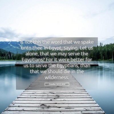 Picture 05 - Exodus 14:12 ASV - Is not this the word that we spake unto thee in - Bible Verse Picture