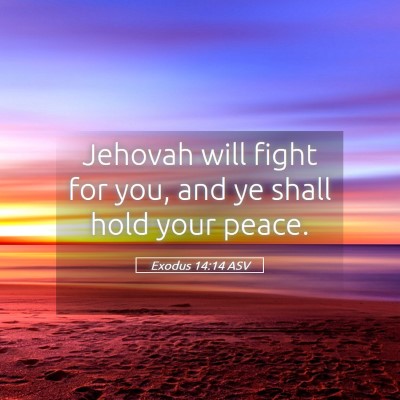 Picture 05 - Exodus 14:14 ASV - Jehovah will fight for you, and ye shall hold - Bible Verse Picture
