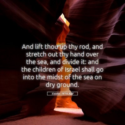 Picture 05 - Exodus 14:16 ASV - And lift thou up thy rod, and stretch out thy - Bible Verse Picture