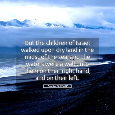 Picture 05 - Exodus 14:29 ASV - But the children of Israel walked upon dry land - Bible Verse Picture