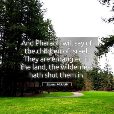 Picture 05 - Exodus 14:3 ASV - And Pharaoh will say of the children of Israel, - Bible Verse Picture
