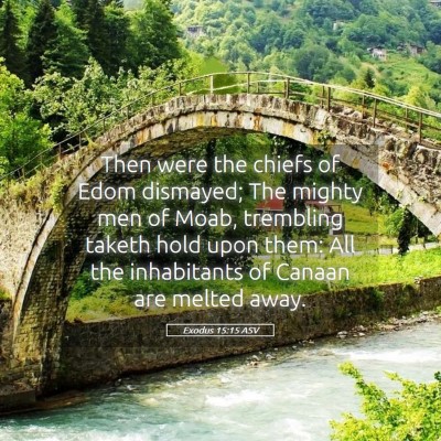 Picture 05 - Exodus 15:15 ASV - Then were the chiefs of Edom dismayed; The mighty - Bible Verse Picture