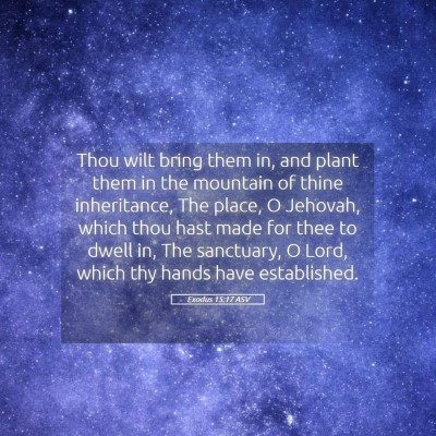 Picture 05 - Exodus 15:17 ASV - Thou wilt bring them in, and plant them in the - Bible Verse Picture