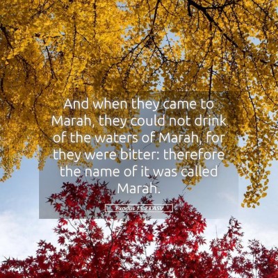 Picture 05 - Exodus 15:23 ASV - And when they came to Marah, they could not drink - Bible Verse Picture