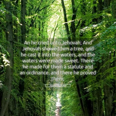 Picture 05 - Exodus 15:25 ASV - An he cried unto Jehovah; And Jehovah showed him - Bible Verse Picture