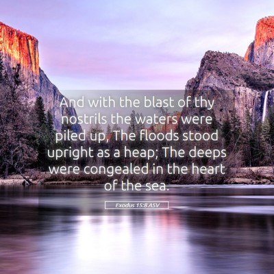 Picture 05 - Exodus 15:8 ASV - And with the blast of thy nostrils the waters - Bible Verse Picture