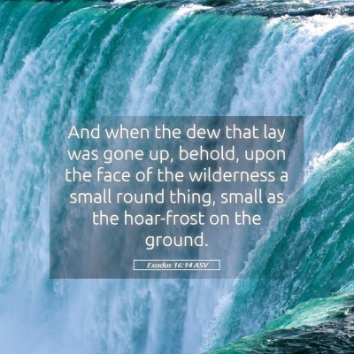 Picture 05 - Exodus 16:14 ASV - And when the dew that lay was gone up, behold, - Bible Verse Picture