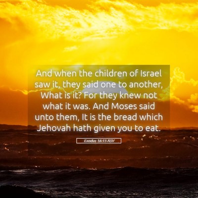 Picture 05 - Exodus 16:15 ASV - And when the children of Israel saw it, they said - Bible Verse Picture