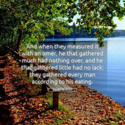 Picture 05 - Exodus 16:18 ASV - And when they measured it with an omer, he that - Bible Verse Picture