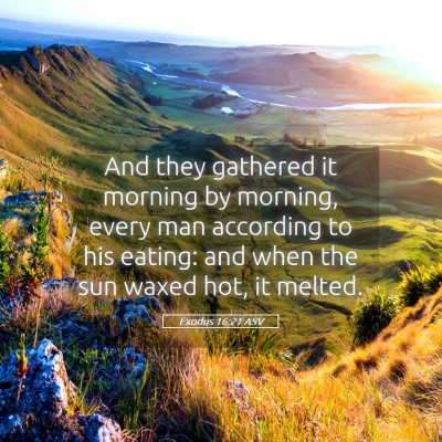 Picture 05 - Exodus 16:21 ASV - And they gathered it morning by morning, every - Bible Verse Picture